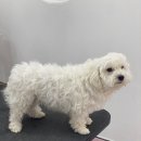 아임엣지 이미지