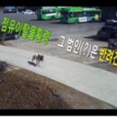 자인파출소 이미지