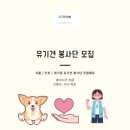 더나눔 티스토리