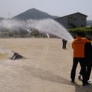 고골초등학교 이미지