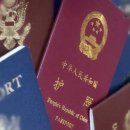 남양행정사 이미지