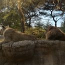 효동 행정복지센터 이미지