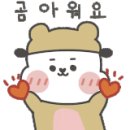 댕 그루밍 이미지