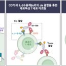 108 이미지