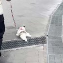 땡
