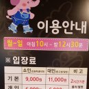 케이팝롤러스케이트