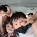 강무관 옥정 합기도 이미지