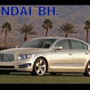 다이너스티 이미지