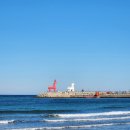 이호테우 비치해변 | 제주 이호테우 해수욕장 디저트 맛집 &#34;에귤타르트 이호테우해변점&#34; 내돈내산 방문 후기