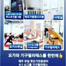 핫필라스 이미지