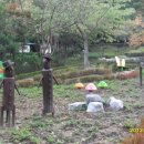 관악산 자연학습장 화장실 이미지