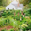 Homes&Garden