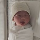 31140-5-6-1 | 시지 파티마여성병원 제왕절개 5박6일 1인실 후기 (전신마취, 하반신마취 실패썰..)