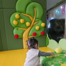 성주어린이집 | 대구근교 아기랑 실내 놀이터 - 성주고분군전시관
