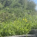 다복민박 이미지