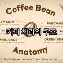 커피체리 이미지