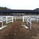 이안목장 이미지