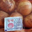 신토불이건강원 이미지