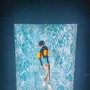 서부2-3(정평역 4번 출구) | 요시고 사진전 시즌2 관람후기 감성 폭발 전시