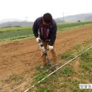 하우농장 이미지