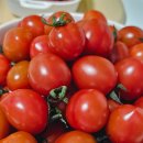 은아유통 이미지