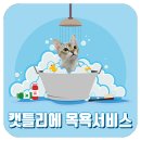 캣틀리에 이미지