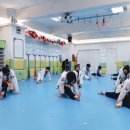 CHA태권도2 이미지