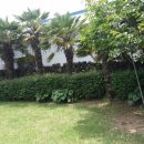 법환동-5 이미지