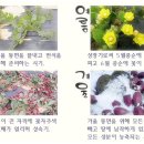 천지2농장 이미지