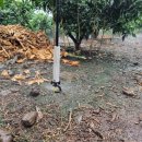 철이농장 이미지