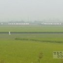 늘푸른산업 이미지