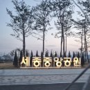 세종중앙공원 풋살장 네이버블로그