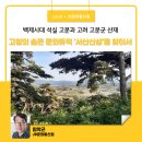 모량2리 | 고창의 숨은 문화유적 ‘서산산성’을 찾아서 - 백제시대 석실 고분과 고려 고분군 산재