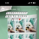 랑숑까까 네이버블로그