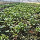 순이하우스 이미지