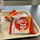 [Daily] 봄이 올랑말랑한 3월 등장