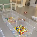 도그힐튼 이미지