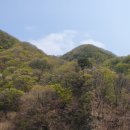 황용 민박 네이버블로그