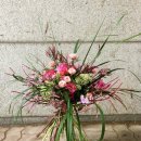 플로라 & 디자인스쿨 이미지