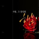 사랑 그 잔인한 행복 이미지