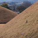 신라 진흥왕 행차길 이미지