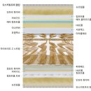 ㈜한국에이스광학 | [침대고민] 시몬스 윌리엄 vs 에이스 로얄에이스 70h