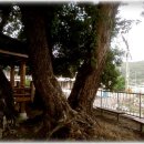 후산리 마을회관 이미지