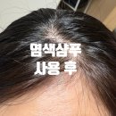 이로이로 | 새치염색 고민 끝 집에서 간편하게 하는 이로이로 염색샴푸 후기