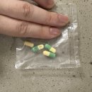 다니다니 이미지