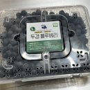 학사농장 | 원주 두경블루베리 농장 방문 후기