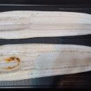 존맛장어파티 - 심명진 민물장어 - 청암 영어 조합 법인 - 특미 초벌 2kg