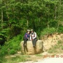 팔봉중학교 이미지