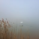 고산 윤선도「물」 | 시조 - 윤선도의 「어부사시사」 <춘사 1>