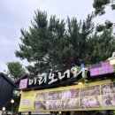 |Wedding.13|[전주 한복 웨딩스냅] 전주 연스냅 |경기전에서 한복입고 웨딩스냅 촬영 후기